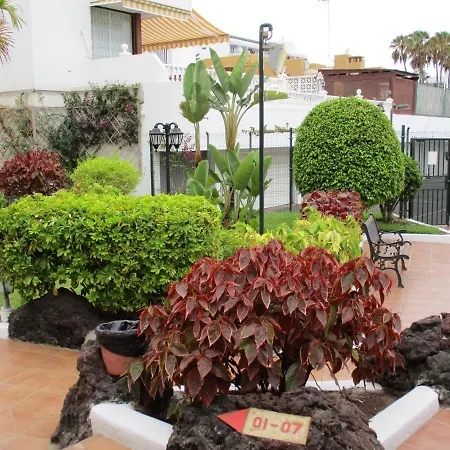 105 Geranios * Playa de las Americas (Tenerife)